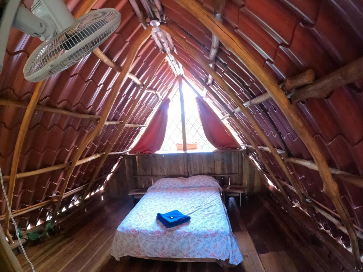Tree House Samanea Lodge Puerto Limon Exterior foto