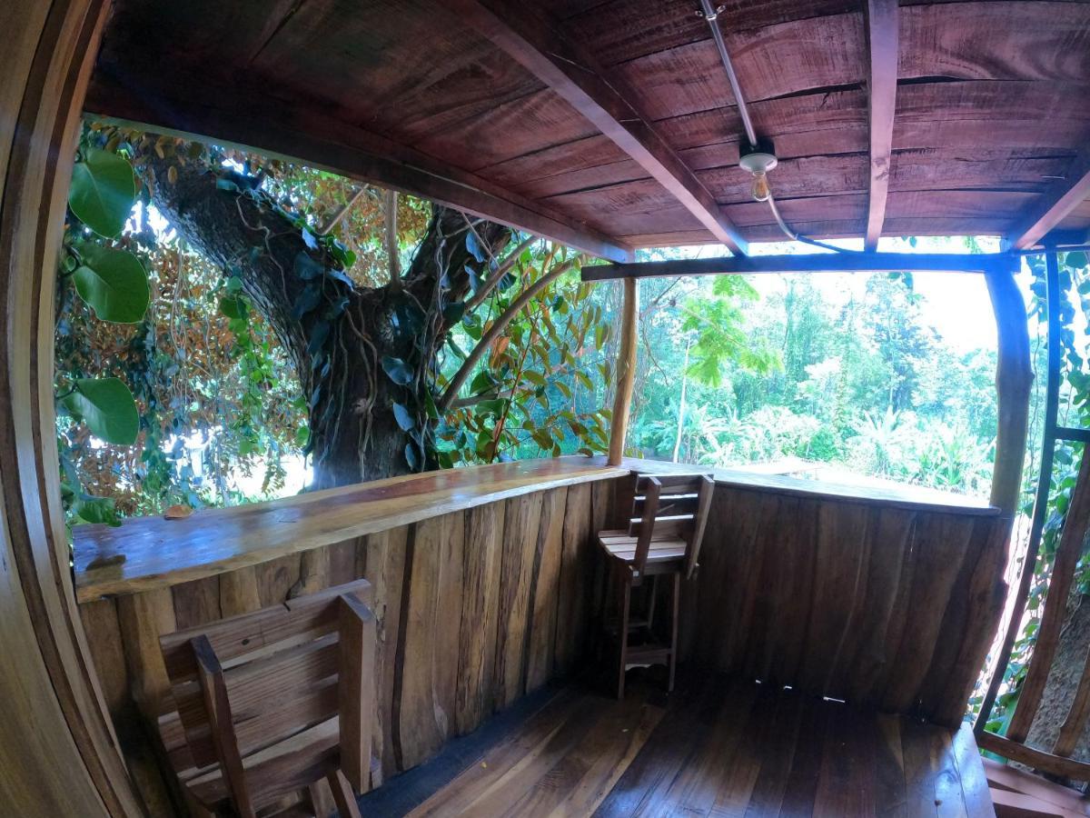 Tree House Samanea Lodge Puerto Limon Exterior foto